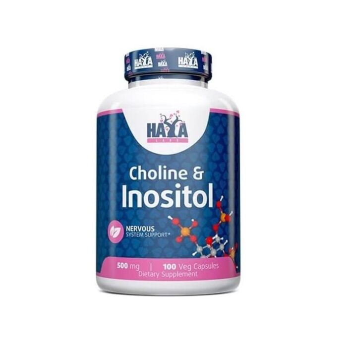 Ноотропный комплекс Haya Labs Choline & Inositol 500 mg 100 veg capsules