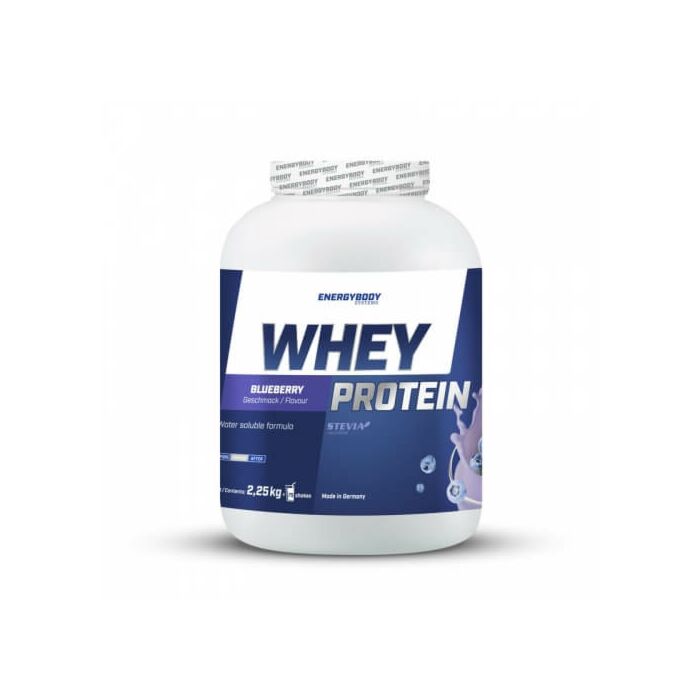 Сироватковий протеїн EnergyBody Fruit Whey Protein (blueberry) - 2250g