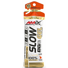 Performance Amix SLOW Gel 45г