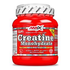 Micronized Creatine Monohydrate - 500g