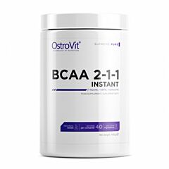 BCAA 2-1-1 - 400 g