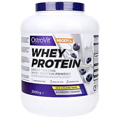 Whey Protein 2000 г