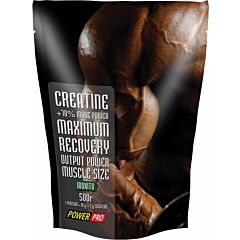 Creatine 500 грамм