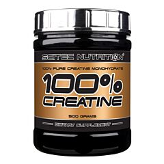 Creatine 100% 300g