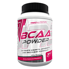 BCAA Powder 400 грамм