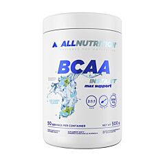 BCAA Max Support Instant - 500g	